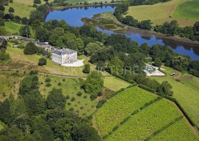 Sharpham House, Shapham Trust, Shapham Vineyards